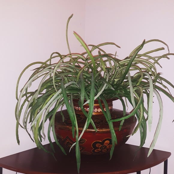 Home decor canister - Picture 3 of 3